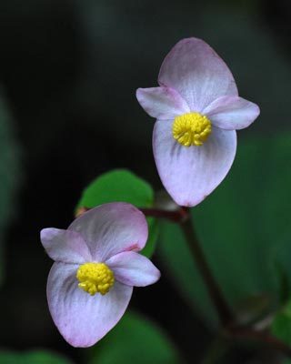e0035757_21034121.jpg