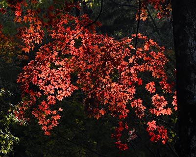 e0035757_21042858.jpg