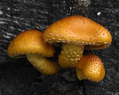 e0035757_21051542.jpg