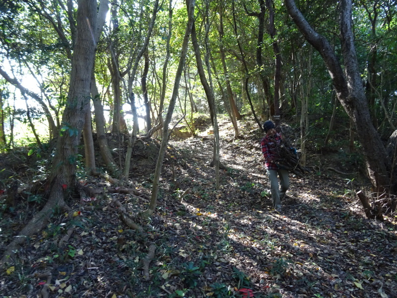 c0108460_17594469.jpg