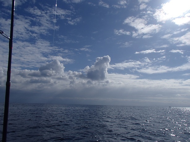 e0108765_17331954.jpg