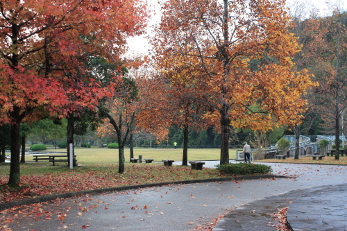 a0023466_22204402.jpg