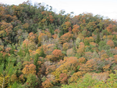 f0259373_20273117.jpg