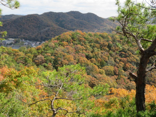 f0259373_20275999.jpg