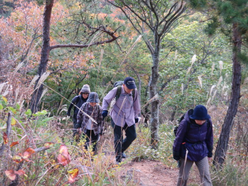 f0259373_20313096.jpg
