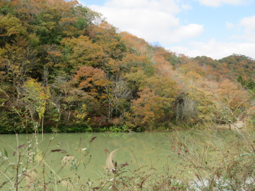 f0259373_20400512.jpg