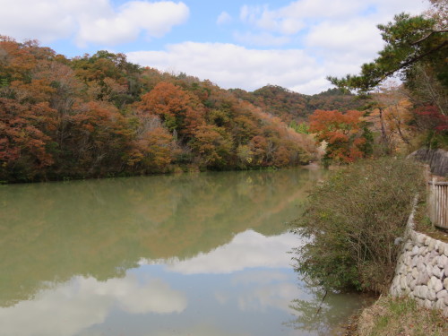 f0259373_20402552.jpg
