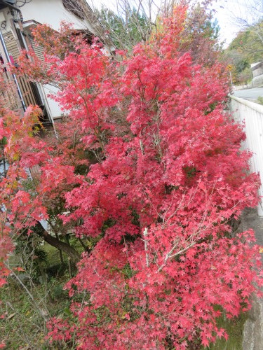 f0259373_20415840.jpg