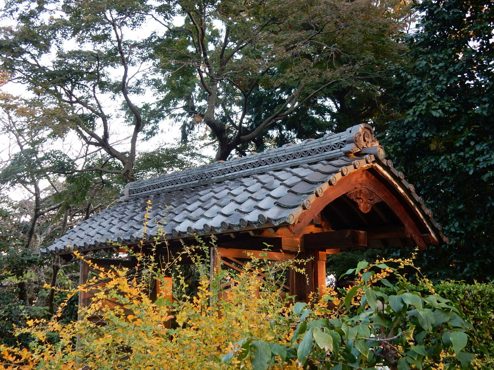 b0140276_16091544.jpg