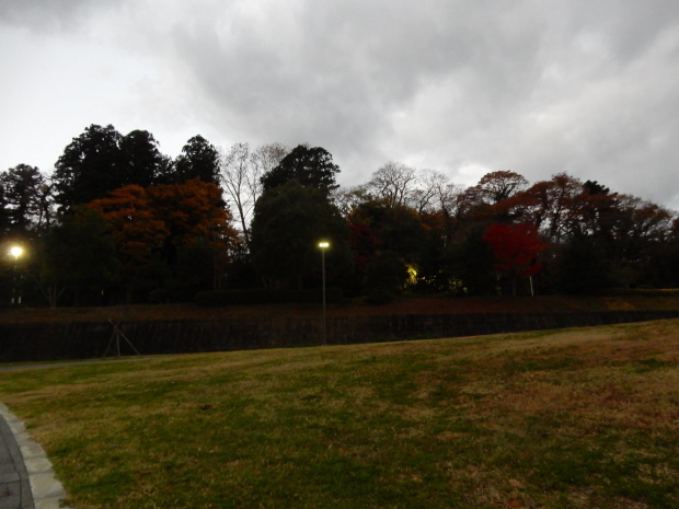 早朝紅葉狩り①_e0355177_10353986.jpg