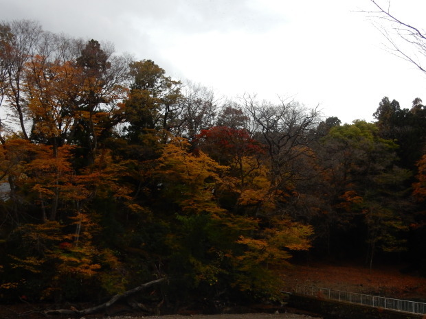 早朝紅葉狩り①_e0355177_10410616.jpg