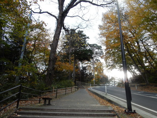 早朝紅葉狩り①_e0355177_10445355.jpg