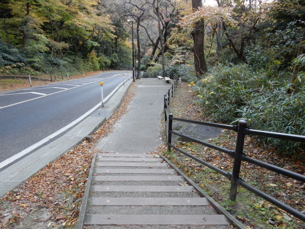 早朝紅葉狩り②_e0355177_21131871.jpg