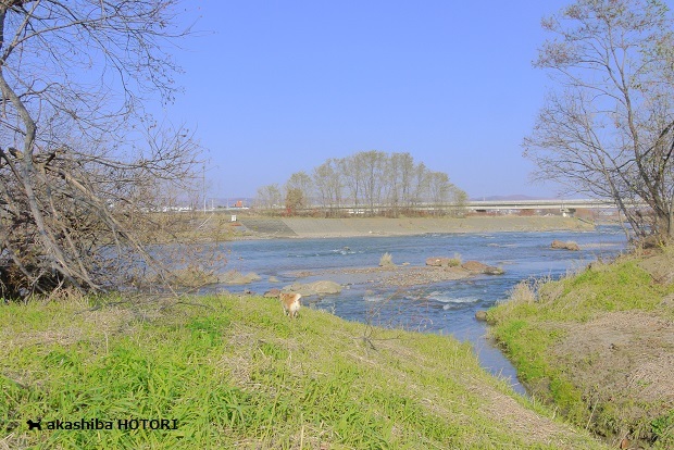 f0150377_20542627.jpg