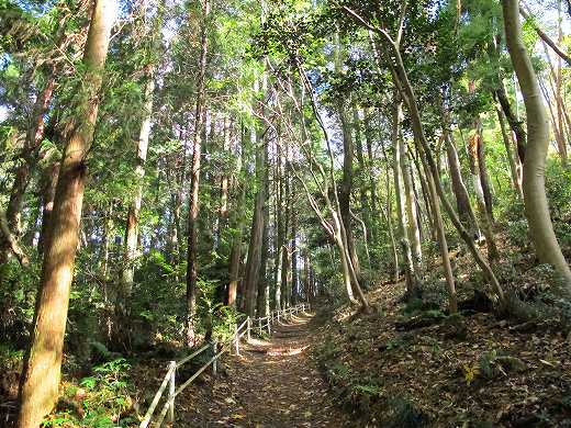 秋雨濡れる竜王山でＳＯＴＡ移動　JA/OS-012_f0073587_0544930.jpg