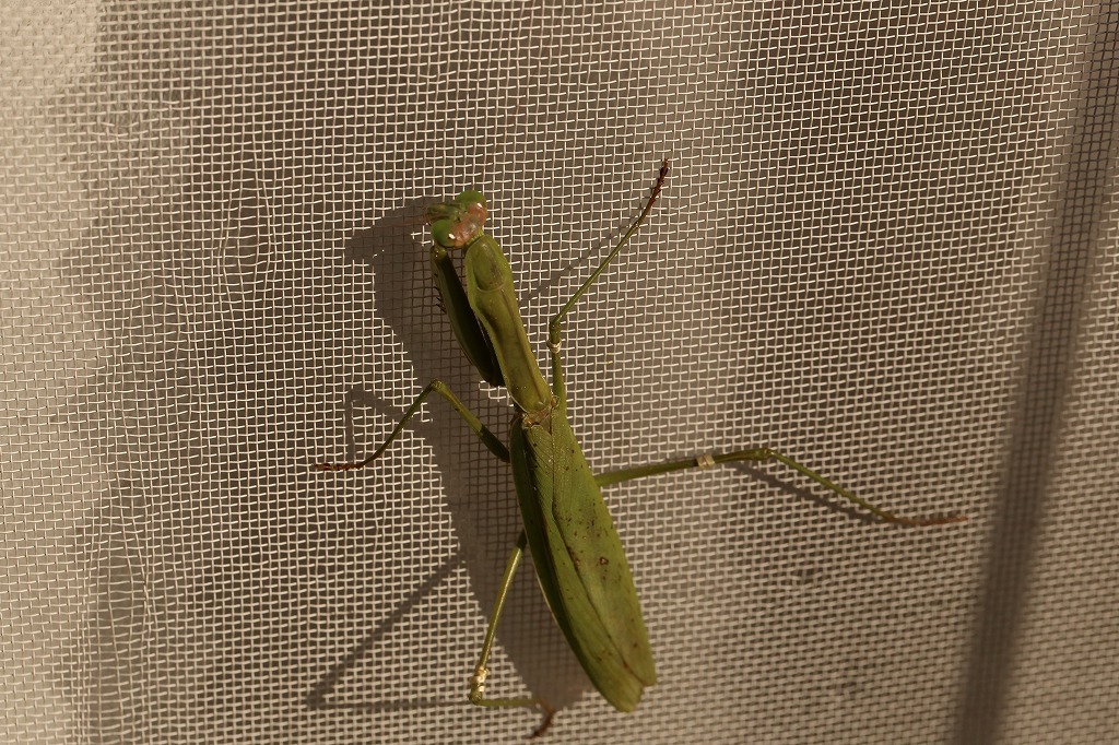 f0140087_00324325.jpg