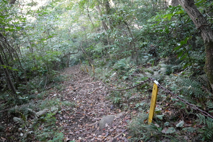 b0339488_21330077.jpg