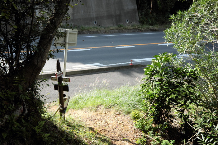 b0339488_21331016.jpg