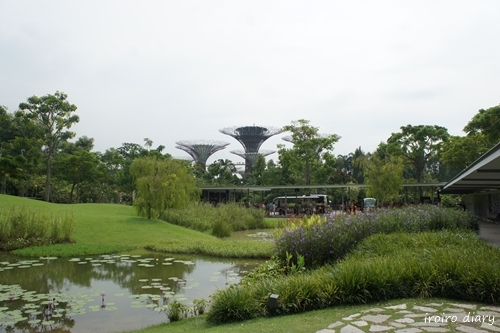 e0206490_17482018.jpg