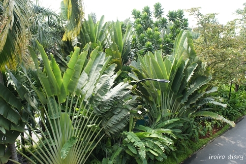 e0206490_17482035.jpg