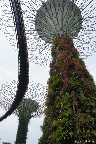 e0206490_17483509.jpg