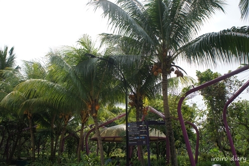 e0206490_17483584.jpg
