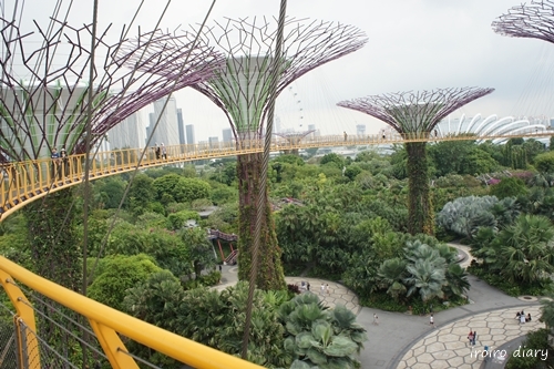 e0206490_17484796.jpg