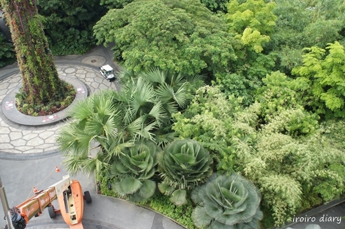 e0206490_17490088.jpg