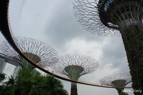 e0206490_17490115.jpg