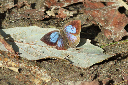 d0353091_16254980.jpg