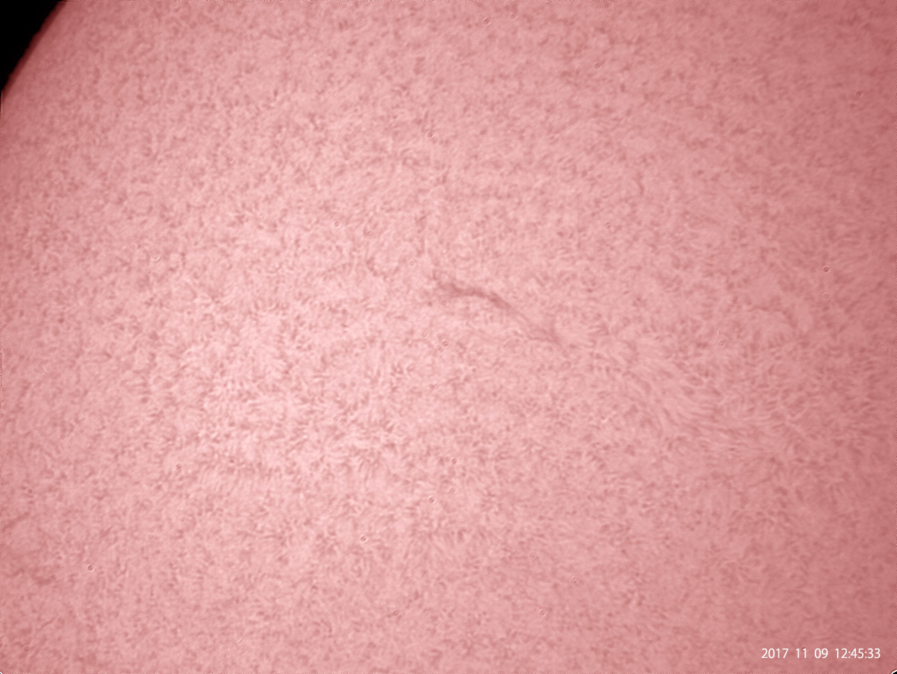 11月9日の太陽_e0174091_12184765.jpg