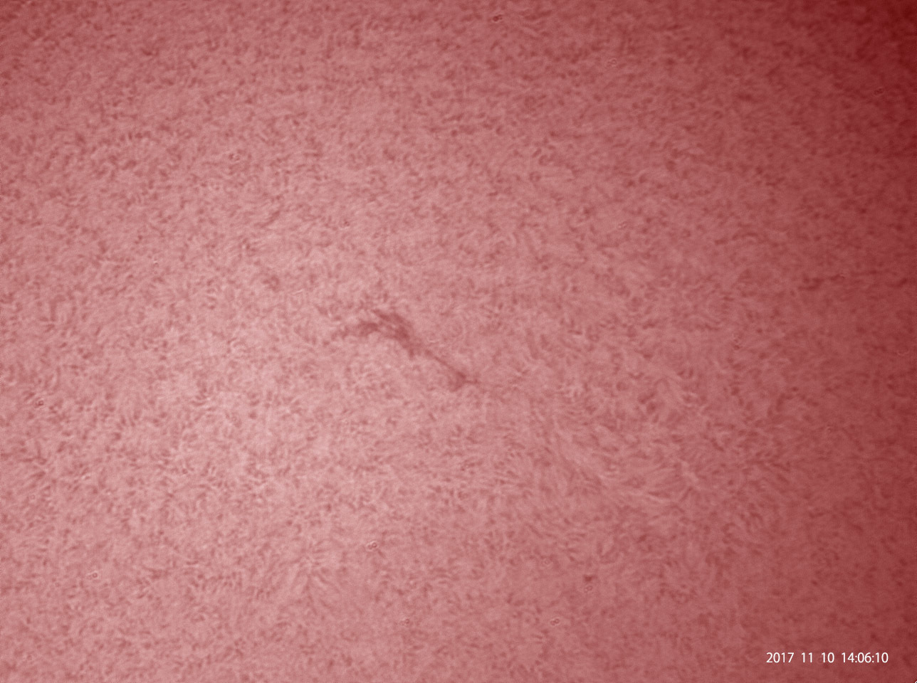 11月10日の太陽_e0174091_12223436.jpg