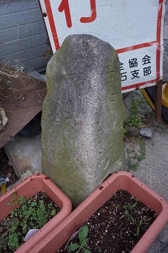 b0119493_13325115.jpg
