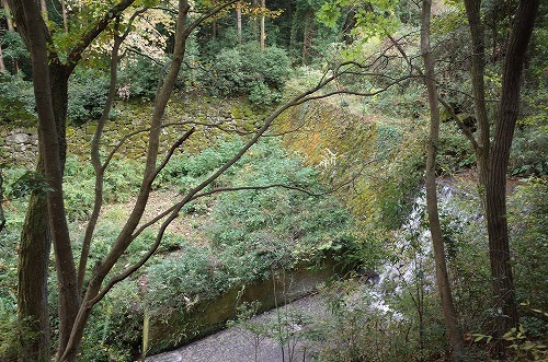 b0119493_13513689.jpg