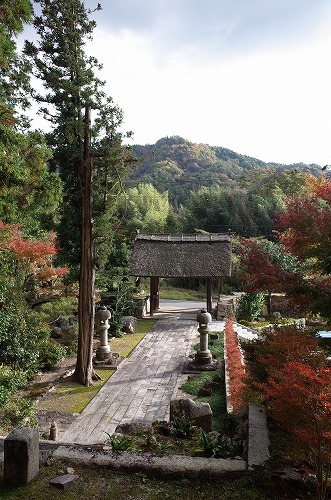 b0119493_14191730.jpg