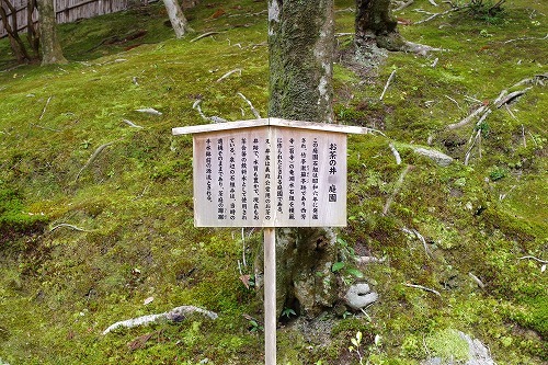 b0119493_20204599.jpg