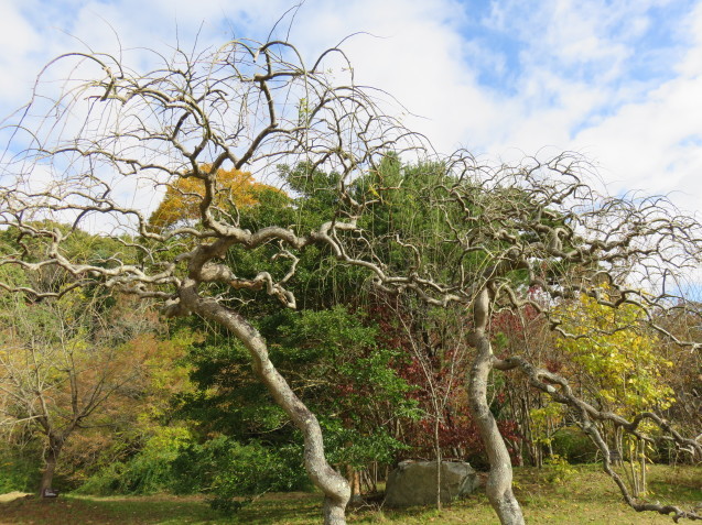 f0204295_21063572.jpg
