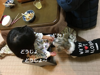 f0372998_20543068.jpg