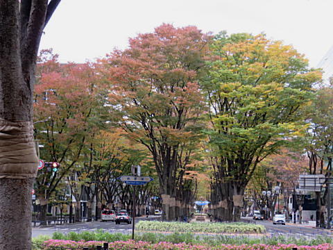 d0046702_06440359.jpg