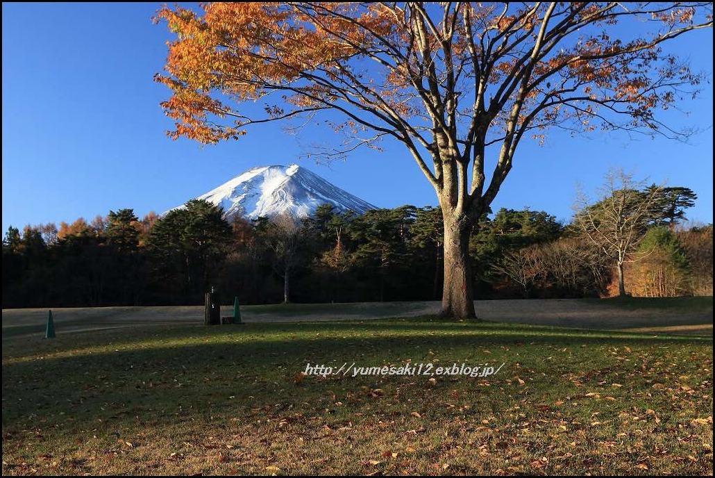 早朝の公園から～_a0188405_22263776.jpg