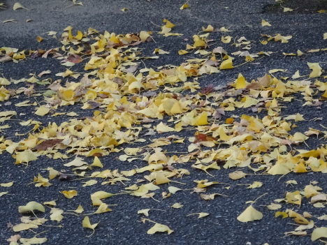 f0231709_00012534.jpg