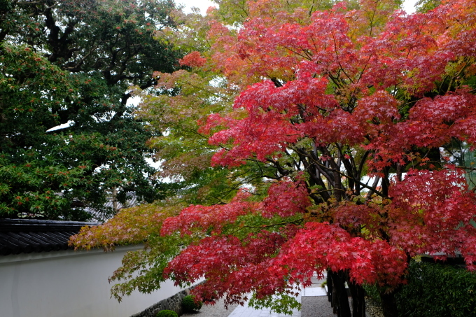 京都の旅　その３_e0000910_21113055.jpg