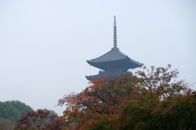 京都の旅　その３_e0000910_21185563.jpg