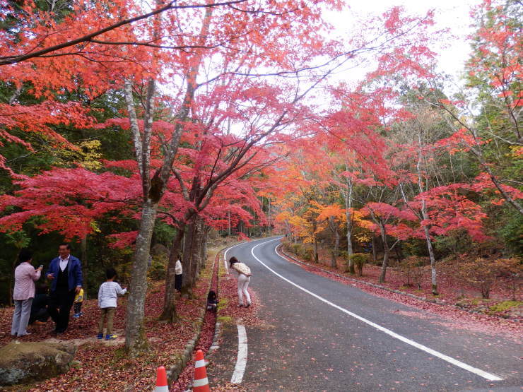 大峯山_f0219710_20021070.jpg