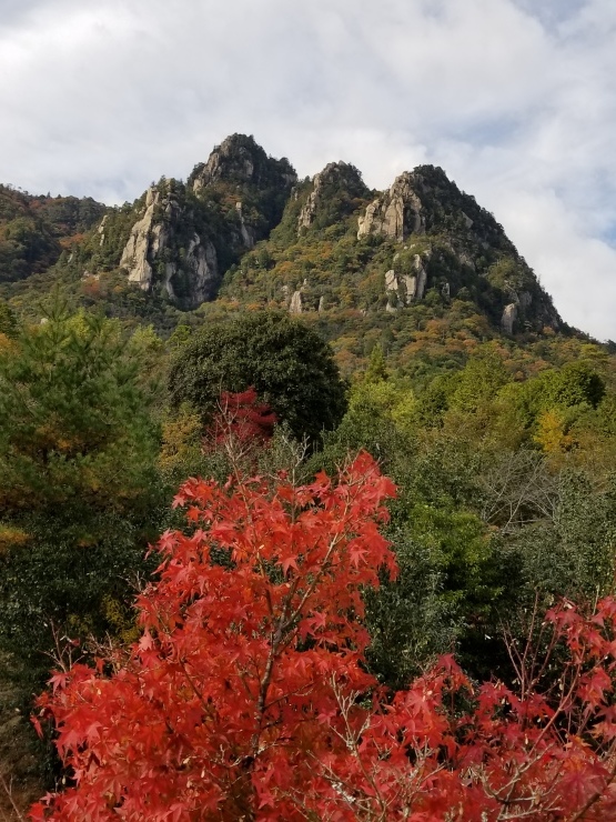 大峯山_f0219710_20060857.jpg