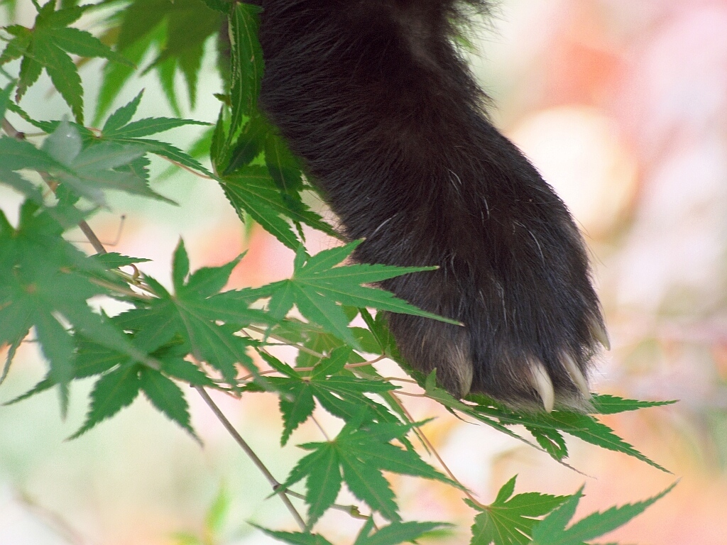 市川市動物園にて_e0364711_21561796.jpg