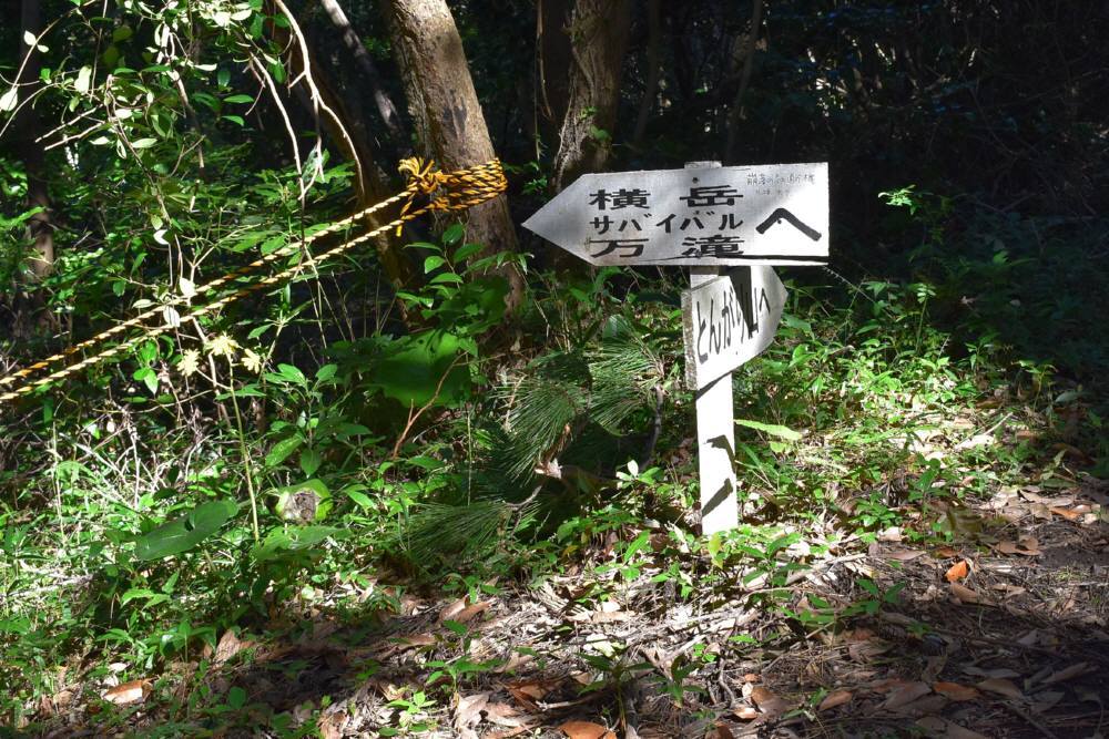 f0212511_22031914.jpg