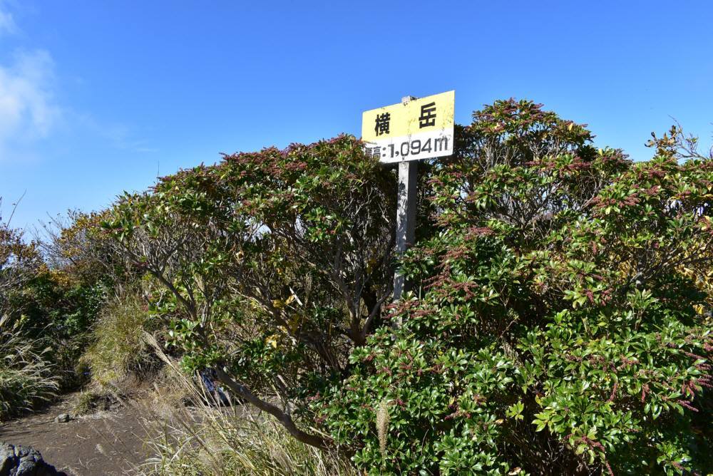 f0212511_22040715.jpg