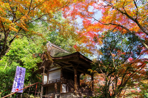 地元の紅葉名所のご紹介_e0162114_10392887.jpg