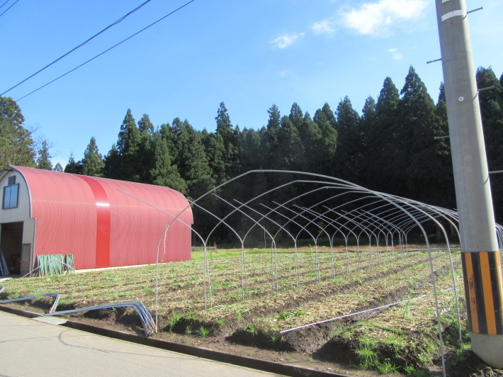 秋も終わりに・・・_f0067514_16564226.jpg